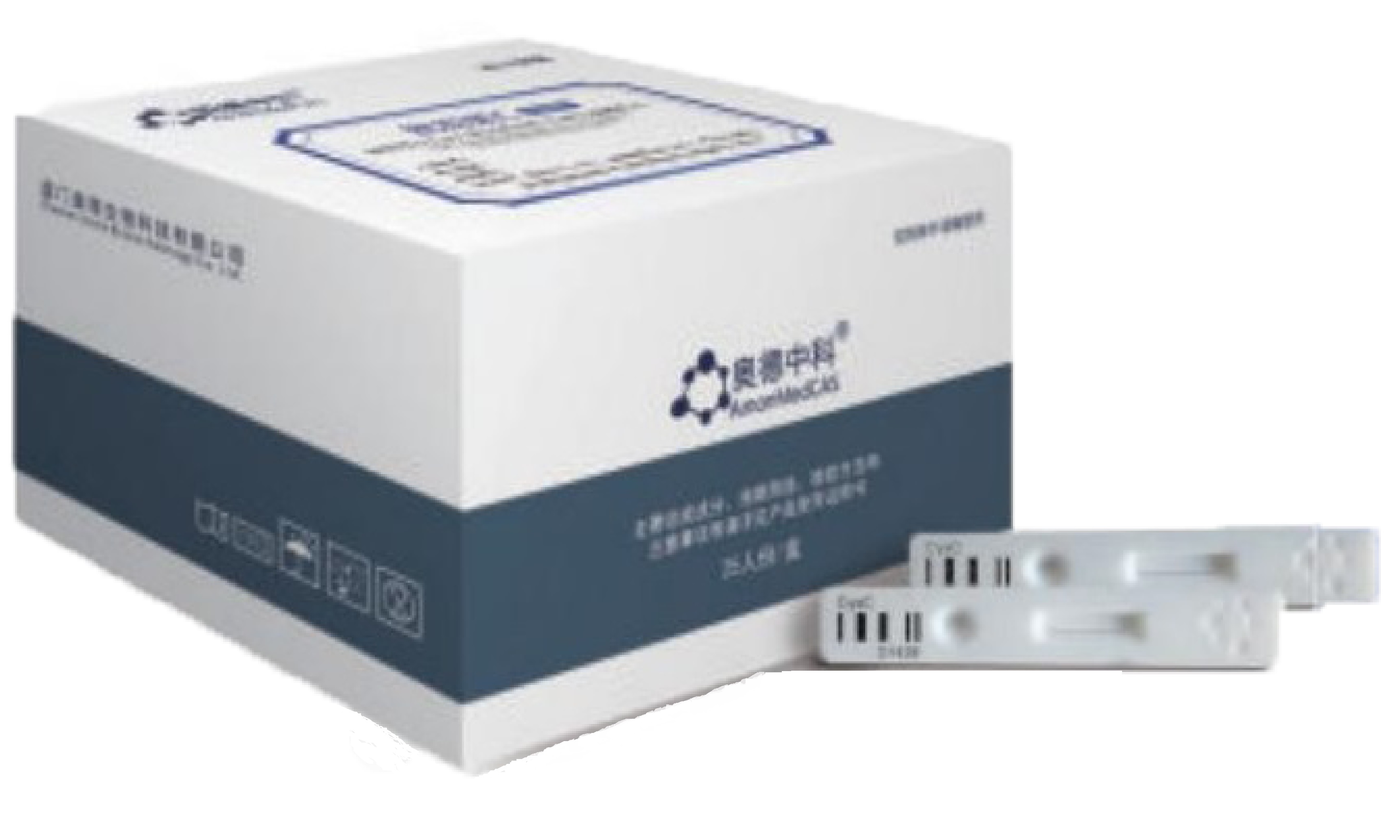 胱抑素C（CYSC）测定试剂盒